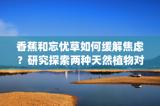 香蕉和忘憂草如何緩解焦慮？研究探索兩種天然植物對焦慮的影響(1)