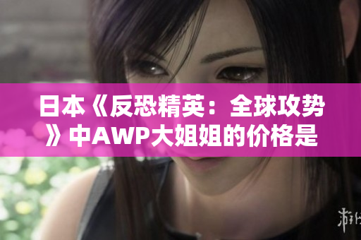 日本《反恐精英：全球攻勢(shì)》中AWP大姐姐的價(jià)格是多少？