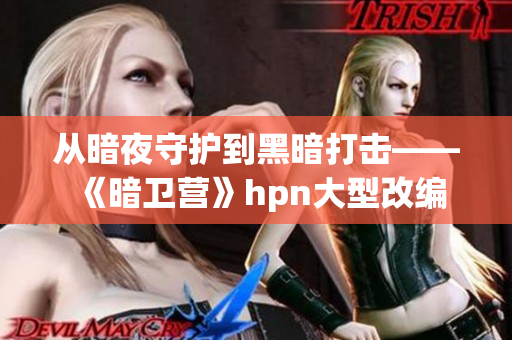 從暗夜守護(hù)到黑暗打擊——《暗衛(wèi)營》hpn大型改編