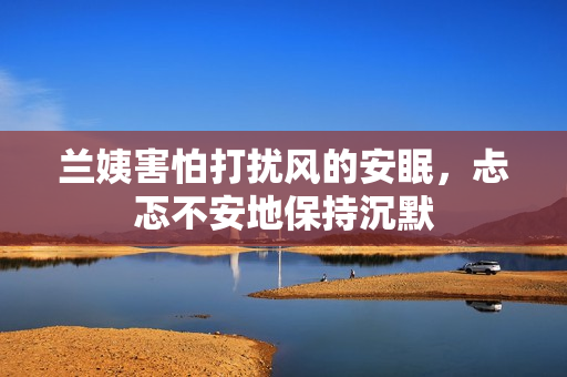 蘭姨害怕打擾風(fēng)的安眠，忐忑不安地保持沉默