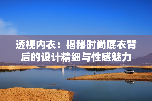 透視內衣:揭秘時尚底衣背后的設計精細與性感魅力 透視內衣:揭秘時尚底衣背后的設計精細與性感魅力