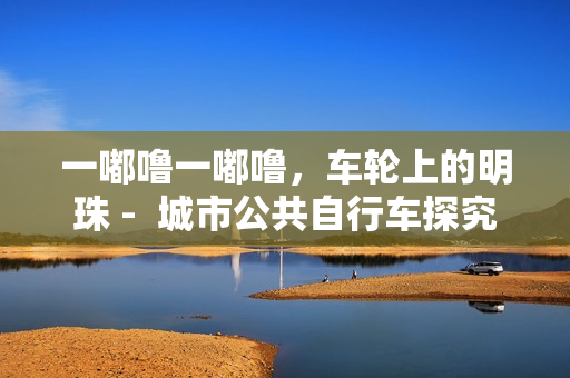 一嘟嚕一嘟嚕，車輪上的明珠 -  城市公共自行車探究