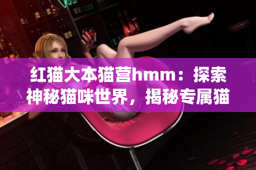 紅貓大本貓營hmm：探索神秘貓咪世界，揭秘專屬貓咪文化(1)