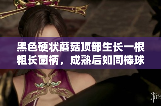 黑色硬狀蘑菇頂部生長(zhǎng)一根粗長(zhǎng)菌柄，成熟后如同棒球的球棒一般，令人震撼。