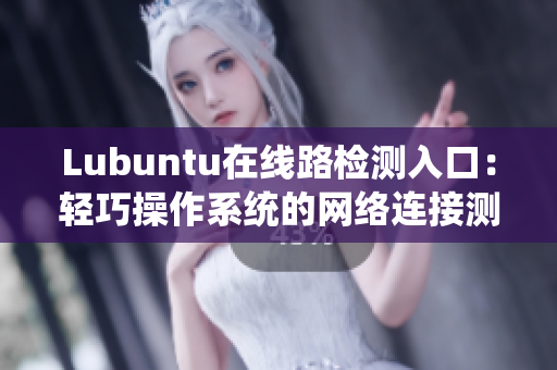 Lubuntu在線路檢測入口：輕巧操作系統(tǒng)的網(wǎng)絡連接測試