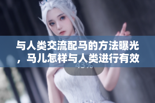 與人類交流配馬的方法曝光，馬兒怎樣與人類進行有效溝通？