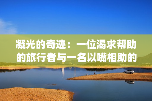 凝光的奇跡：一位渴求幫助的旅行者與一名以嘴相助的奇跡相遇(1)