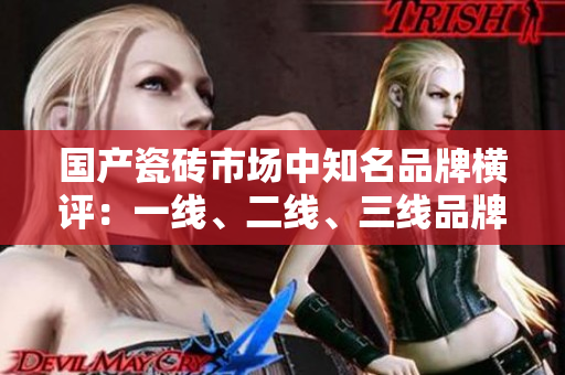 國產(chǎn)瓷磚市場中知名品牌橫評：一線、二線、三線品牌大揭秘