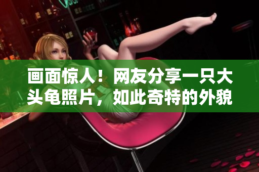畫面驚人！網(wǎng)友分享一只大頭龜照片，如此奇特的外貌讓人大呼驚奇