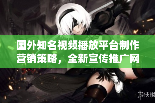 國外知名視頻播放平臺制作營銷策略，全新宣傳推廣網站建設(1)