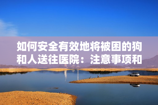 如何安全有效地將被困的狗和人送往醫(yī)院：注意事項(xiàng)和建議