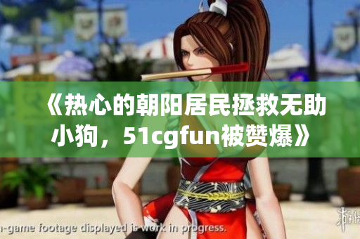《熱心的朝陽(yáng)居民拯救無(wú)助小狗，51cgfun被贊爆》