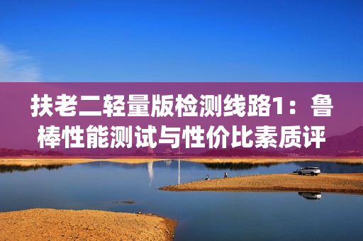 扶老二輕量版檢測線路1：魯棒性能測試與性價比素質(zhì)評估(1)