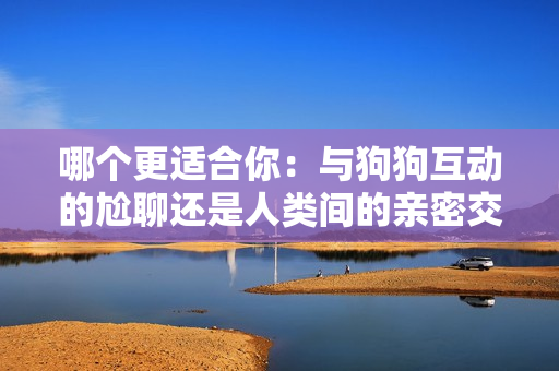 哪個更適合你：與狗狗互動的尬聊還是人類間的親密交談？