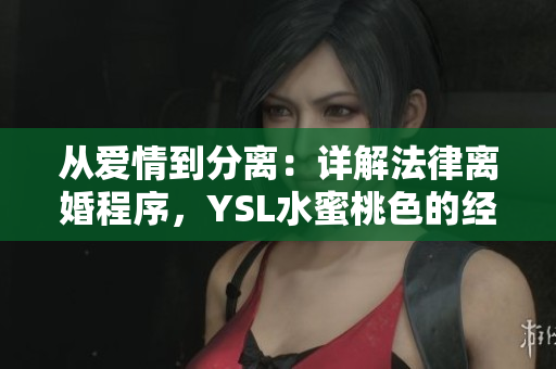 從愛(ài)情到分離：詳解法律離婚程序，YSL水蜜桃色的經(jīng)典之選