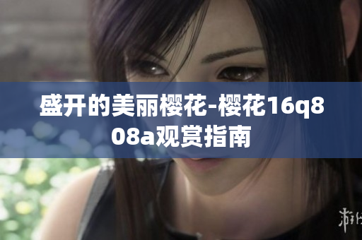 盛開的美麗櫻花-櫻花16q808a觀賞指南