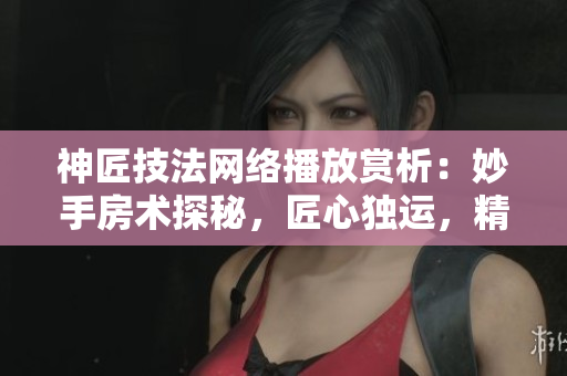 神匠技法網(wǎng)絡(luò)播放賞析：妙手房術(shù)探秘，匠心獨(dú)運(yùn)，精彩前所未有