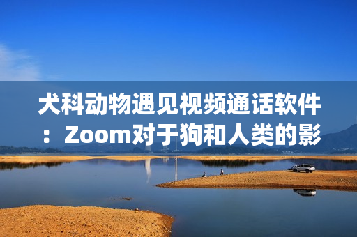 犬科動(dòng)物遇見(jiàn)視頻通話(huà)軟件：Zoom對(duì)于狗和人類(lèi)的影響(1)