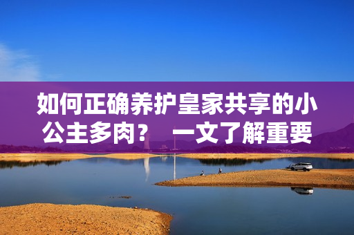 如何正確養(yǎng)護皇家共享的小公主多肉？  一文了解重要養(yǎng)護小技巧