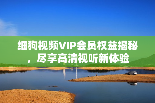 細狗視頻VIP會員權(quán)益揭秘，盡享高清視聽新體驗