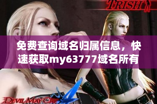 免費(fèi)查詢域名歸屬信息，快速獲取my63777域名所有者信息