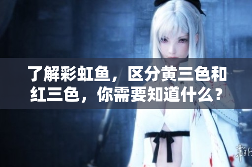 了解彩虹魚(yú)，區(qū)分黃三色和紅三色，你需要知道什么？