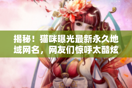 揭秘！貓咪曝光最新永久地域網(wǎng)名，網(wǎng)友們驚呼太酷炫！