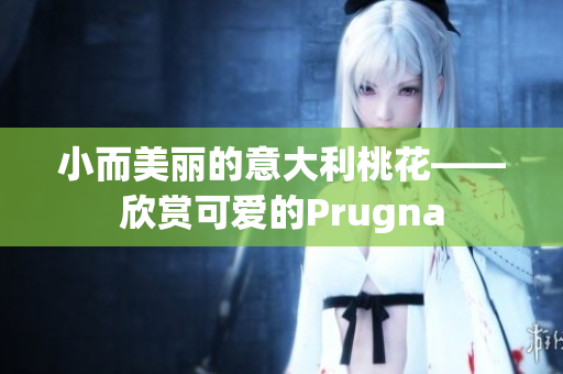 小而美麗的意大利桃花——欣賞可愛(ài)的Prugna