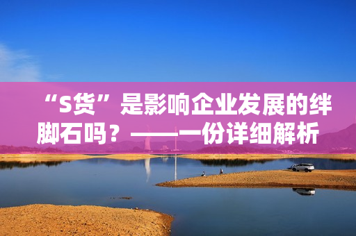 “S貨”是影響企業(yè)發(fā)展的絆腳石嗎？——一份詳細(xì)解析