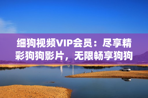 細狗視頻VIP會員：盡享精彩狗狗影片，無限暢享狗狗世界(1)