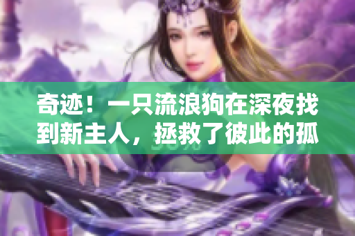奇跡！一只流浪狗在深夜找到新主人，拯救了彼此的孤獨與寂寞
