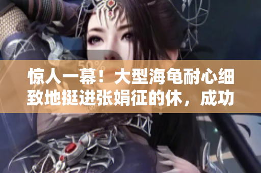 驚人一幕！大型海龜耐心細(xì)致地挺進張娟征的休，成功展開孵化計劃