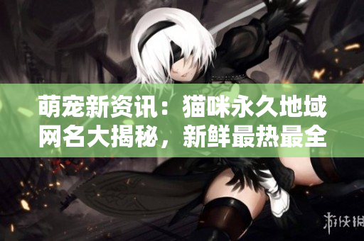 萌寵新資訊：貓咪永久地域網(wǎng)名大揭秘，新鮮最熱最全報道