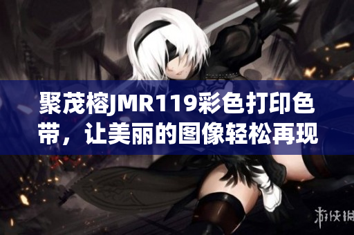 聚茂榕JMR119彩色打印色帶，讓美麗的圖像輕松再現(xiàn)