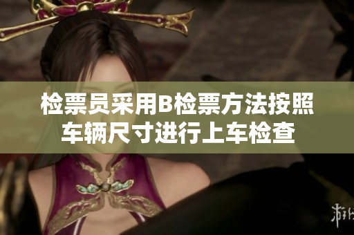 檢票員采用B檢票方法按照車輛尺寸進(jìn)行上車檢查