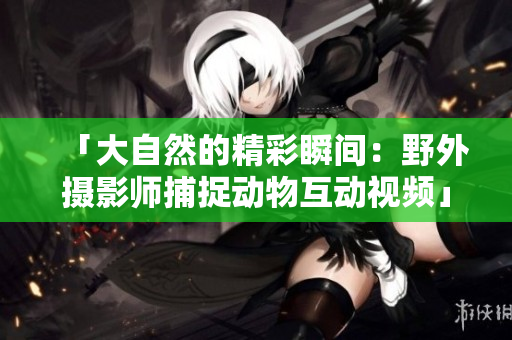 「大自然的精彩瞬間：野外攝影師捕捉動物互動視頻」