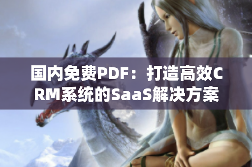 國內(nèi)免費(fèi)PDF：打造高效CRM系統(tǒng)的SaaS解決方案