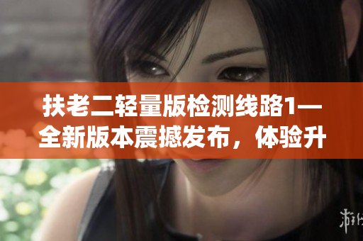 扶老二輕量版檢測線路1—全新版本震撼發(fā)布，體驗升級驚喜不斷(1)