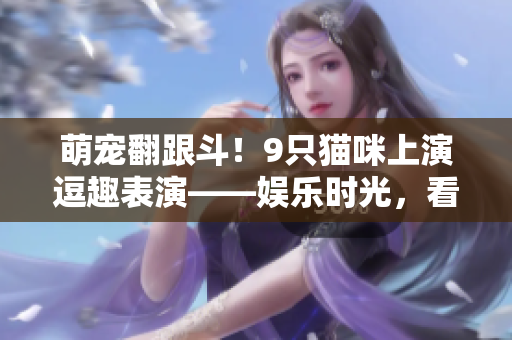 萌寵翻跟斗！9只貓咪上演逗趣表演——娛樂(lè)時(shí)光，看寵物大冒險(xiǎn)！
