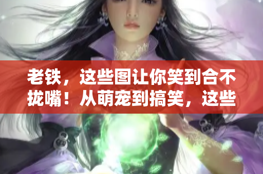 老鐵，這些圖讓你笑到合不攏嘴！從萌寵到搞笑，這些圖片讓您笑出聲！