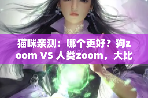 貓咪親測：哪個更好？狗zoom VS 人類zoom，大比拼