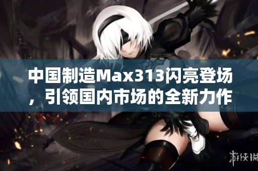 中國制造Max313閃亮登場，引領(lǐng)國內(nèi)市場的全新力作
