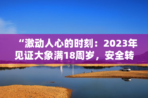 “激動(dòng)人心的時(shí)刻：2023年見(jiàn)證大象滿18周歲，安全轉(zhuǎn)場(chǎng)”