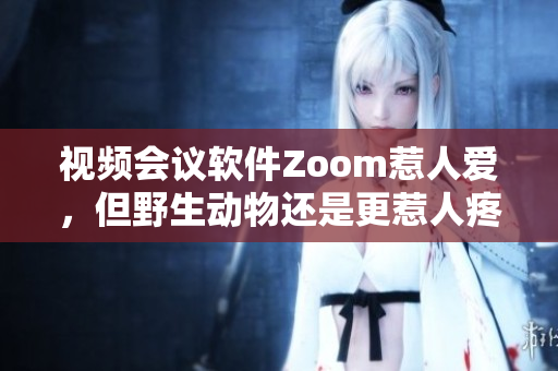 視頻會議軟件Zoom惹人愛，但野生動物還是更惹人疼