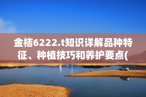 金桔6222.t知識詳解品種特征、種植技巧和養(yǎng)護要點(1)