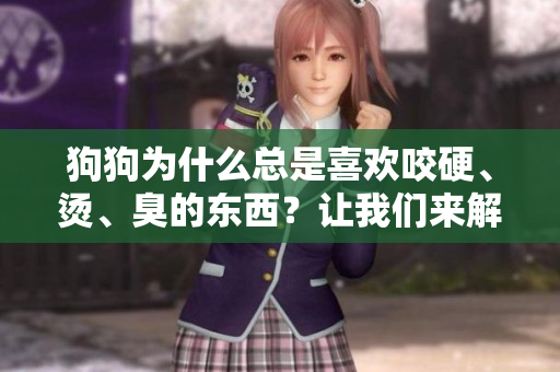 狗狗為什么總是喜歡咬硬、燙、臭的東西？讓我們來(lái)解決這個(gè)問(wèn)題