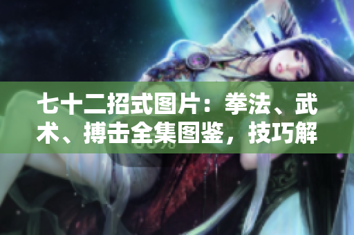七十二招式圖片：拳法、武術、搏擊全集圖鑒，技巧解析與實戰(zhàn)示范