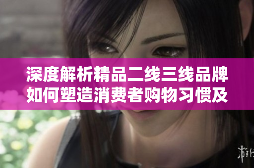 深度解析精品二線三線品牌如何塑造消費者購物習(xí)慣及影響力