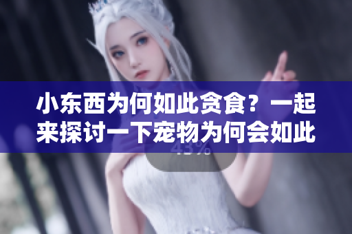 小東西為何如此貪食？一起來探討一下寵物為何會如此愛吃
