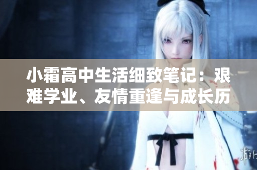 小霜高中生活細(xì)致筆記：艱難學(xué)業(yè)、友情重逢與成長歷程